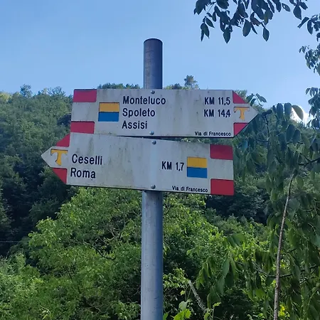 Umbria Valnerina , Il Tartuffo, Sulla Via Di Francesco 아파트 *