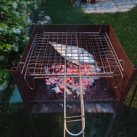 Umbria Valnerina , Il Tartuffo, Sulla Via Di Francesco *