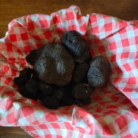 Umbria Valnerina , Il Tartuffo, Sulla Via Di Francesco Apartamento