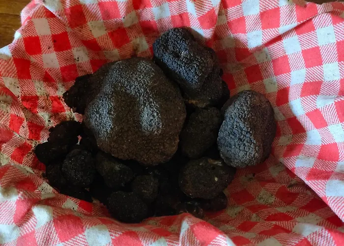 Umbria Valnerina , Il Tartuffo, Sulla Via Di Francesco Apartamento